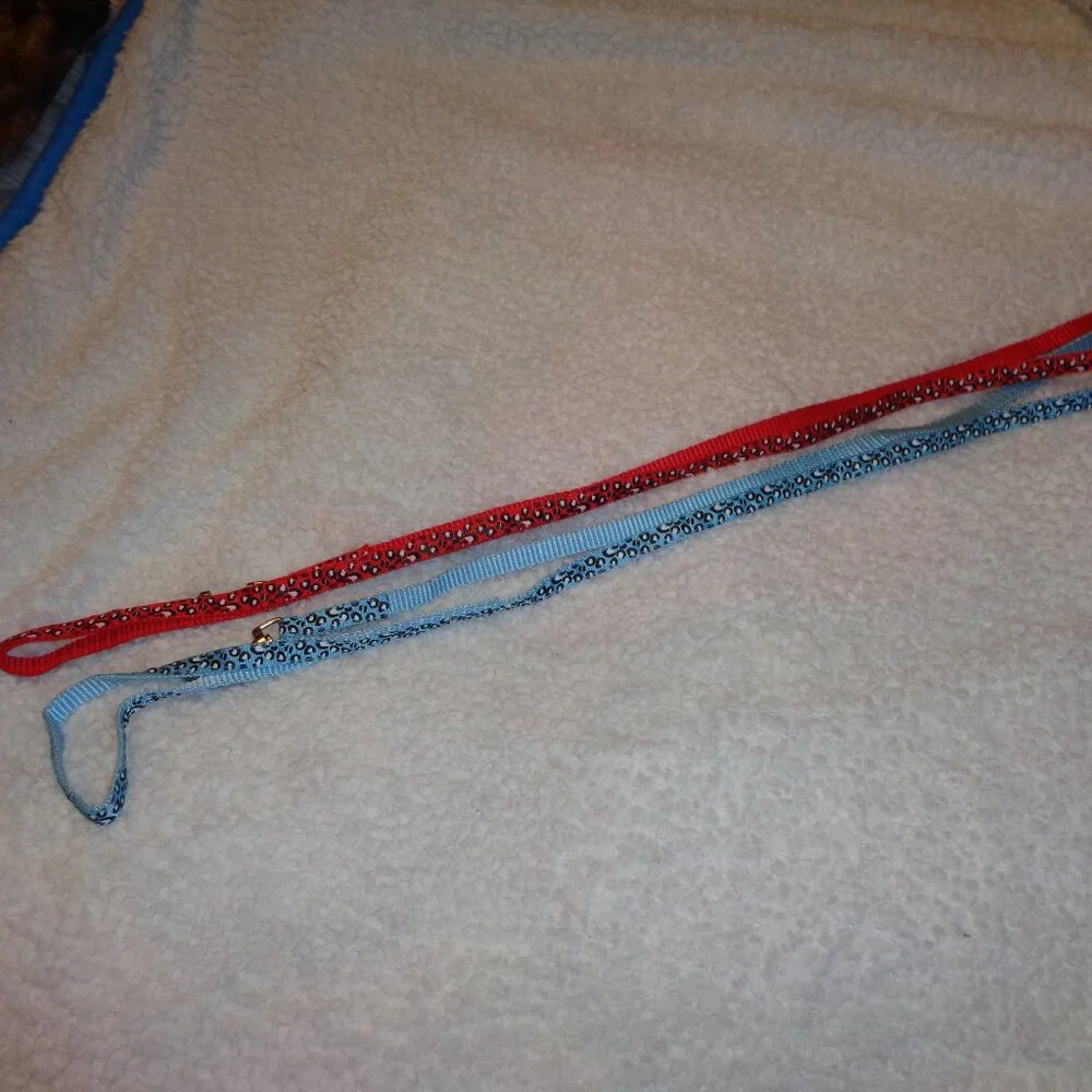 2 Small Dog Cat Pet Leashes Leash